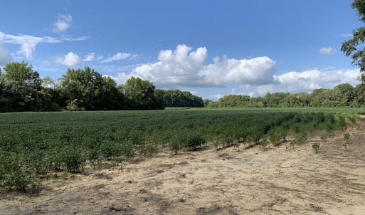 Photo #25 of Off South Main Street, City of Emporia, VA 51.0 acres