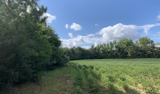 Photo #26 of Off South Main Street, City of Emporia, VA 51.0 acres