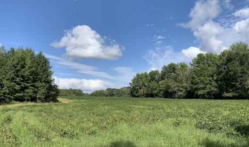 Photo #27 of Off South Main Street, City of Emporia, VA 51.0 acres