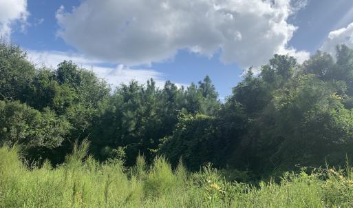 Photo #29 of Off South Main Street, City of Emporia, VA 51.0 acres