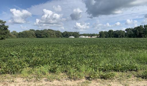 Photo #33 of Off South Main Street, City of Emporia, VA 51.0 acres