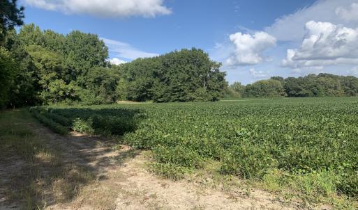 Photo #34 of Off South Main Street, City of Emporia, VA 51.0 acres