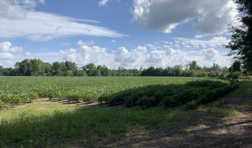 Photo #35 of Off South Main Street, City of Emporia, VA 51.0 acres
