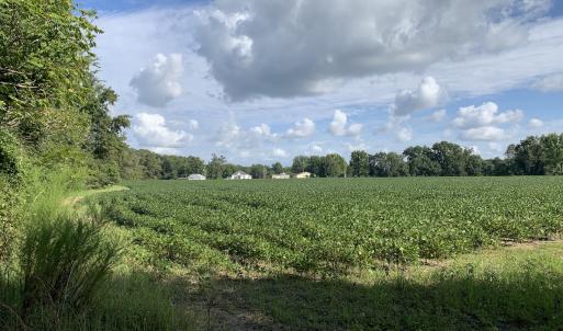 Photo #36 of Off South Main Street, City of Emporia, VA 51.0 acres