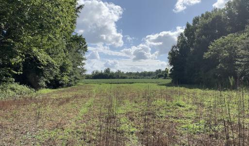 Photo #37 of Off South Main Street, City of Emporia, VA 51.0 acres