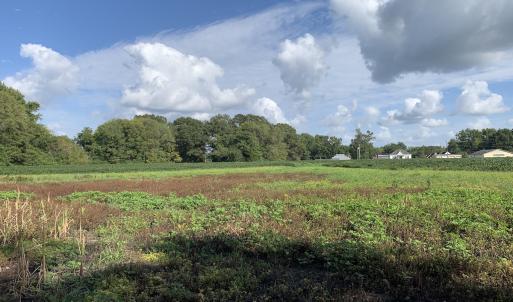 Photo #38 of Off South Main Street, City of Emporia, VA 51.0 acres