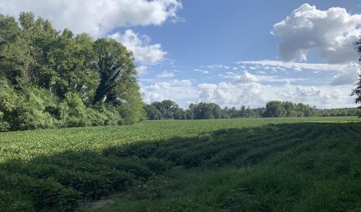 Photo #39 of Off South Main Street, City of Emporia, VA 51.0 acres