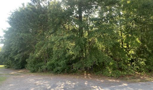 Photo #43 of Off South Main Street, City of Emporia, VA 51.0 acres