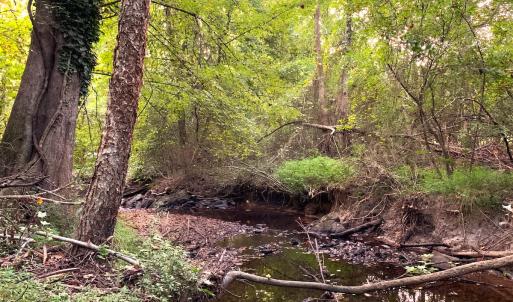 Photo #45 of Off South Main Street, City of Emporia, VA 51.0 acres