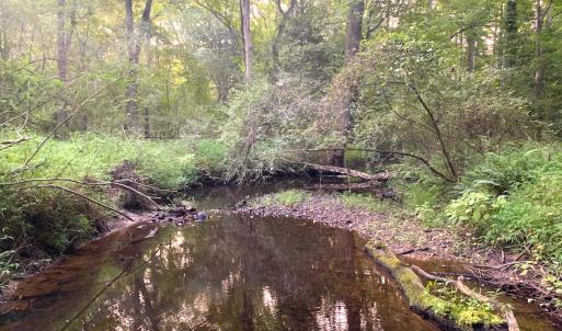 Photo #46 of Off South Main Street, City of Emporia, VA 51.0 acres