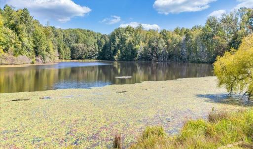 Photo #11 of Off Mountain View Loop, Stuart, VA 145.3 acres