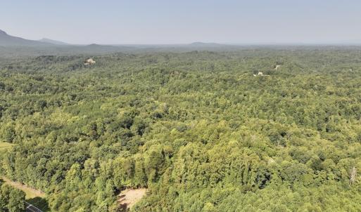 Photo #1 of 05 Seven Island Road, Danbury, NC 40.3 acres