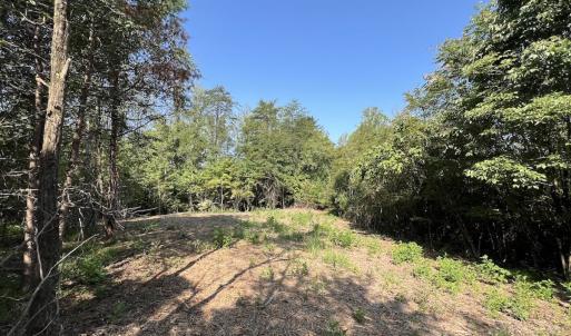 Photo #14 of 05 Seven Island Road, Danbury, NC 40.3 acres