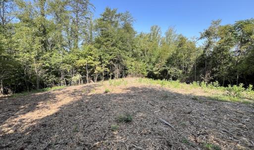 Photo #15 of 05 Seven Island Road, Danbury, NC 40.3 acres
