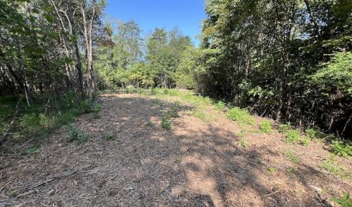 Photo #18 of 05 Seven Island Road, Danbury, NC 40.3 acres