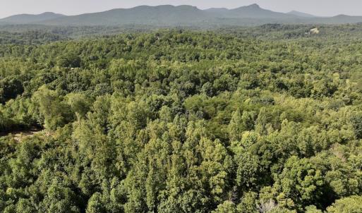 Photo #2 of 05 Seven Island Road, Danbury, NC 40.3 acres