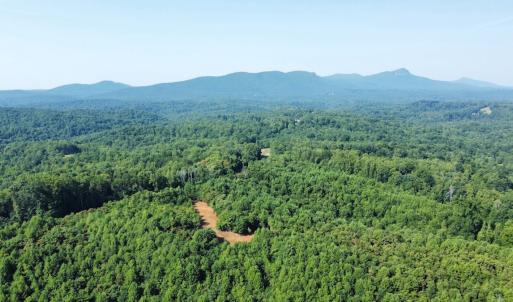 Photo #23 of 05 Seven Island Road, Danbury, NC 40.3 acres