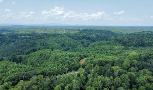 Photo #26 of 05 Seven Island Road, Danbury, NC 40.3 acres