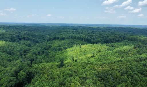 Photo #28 of 05 Seven Island Road, Danbury, NC 40.3 acres