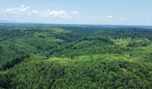 Photo #29 of 05 Seven Island Road, Danbury, NC 40.3 acres