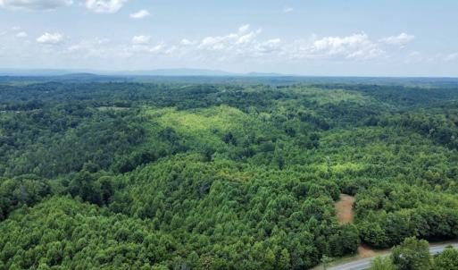 Photo #30 of 05 Seven Island Road, Danbury, NC 40.3 acres