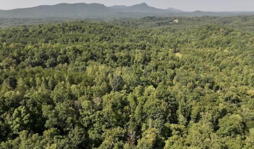 Photo #3 of 05 Seven Island Road, Danbury, NC 40.3 acres