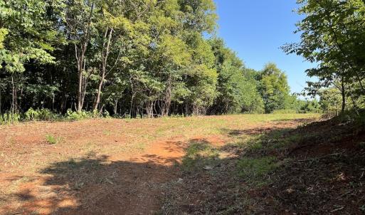 Photo #31 of 05 Seven Island Road, Danbury, NC 40.3 acres