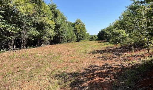 Photo #32 of 05 Seven Island Road, Danbury, NC 40.3 acres