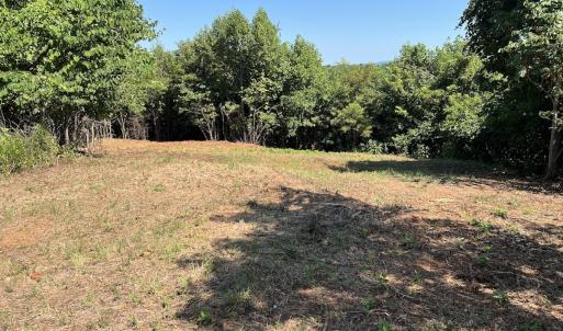 Photo #34 of 05 Seven Island Road, Danbury, NC 40.3 acres