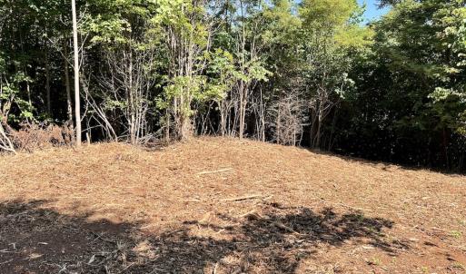 Photo #36 of 05 Seven Island Road, Danbury, NC 40.3 acres