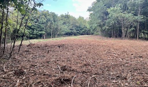 Photo #38 of 05 Seven Island Road, Danbury, NC 40.3 acres