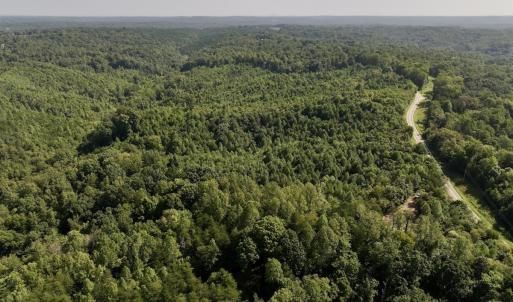 Photo #6 of 05 Seven Island Road, Danbury, NC 40.3 acres