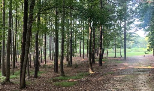 Photo #32 of SOLD property in 34675 Sandy Ridge Road, Franklin, VA 35.5 acres