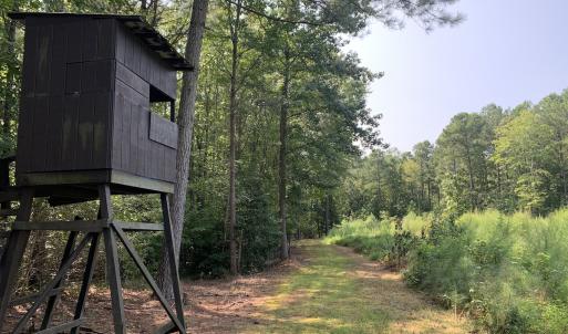 Photo #46 of SOLD property in 34675 Sandy Ridge Road, Franklin, VA 35.5 acres