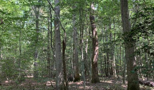 Photo #47 of SOLD property in 34675 Sandy Ridge Road, Franklin, VA 35.5 acres