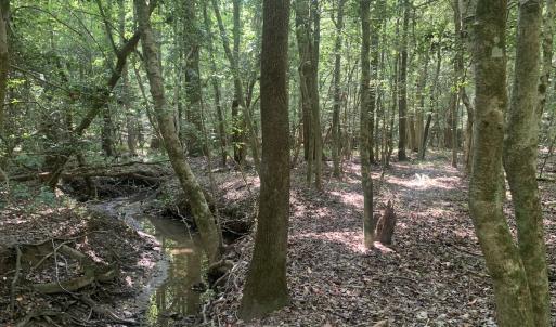 Photo #48 of SOLD property in 34675 Sandy Ridge Road, Franklin, VA 35.5 acres
