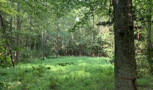 Photo #50 of SOLD property in 34675 Sandy Ridge Road, Franklin, VA 35.5 acres