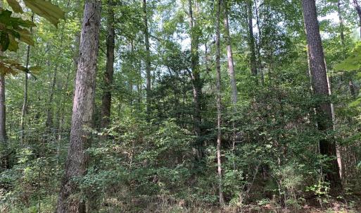 Photo #51 of SOLD property in 34675 Sandy Ridge Road, Franklin, VA 35.5 acres