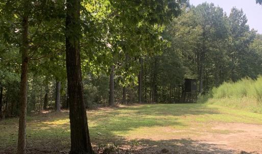 Photo #53 of SOLD property in 34675 Sandy Ridge Road, Franklin, VA 35.5 acres