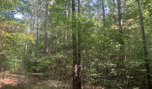 Photo #55 of SOLD property in 34675 Sandy Ridge Road, Franklin, VA 35.5 acres
