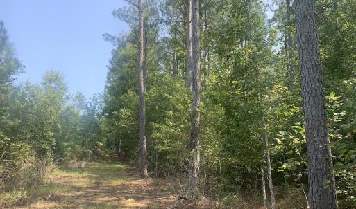 Photo #57 of SOLD property in 34675 Sandy Ridge Road, Franklin, VA 35.5 acres