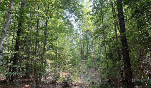 Photo #58 of SOLD property in 34675 Sandy Ridge Road, Franklin, VA 35.5 acres
