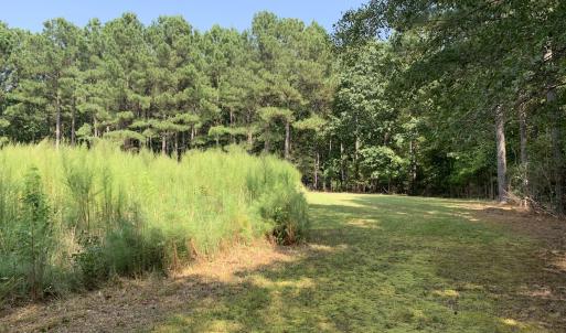 Photo #60 of SOLD property in 34675 Sandy Ridge Road, Franklin, VA 35.5 acres
