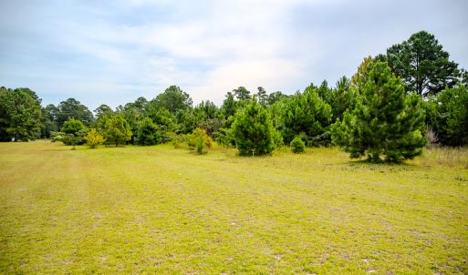 Photo #14 of SOLD property in John Nunnery Rd., Stedman, NC 6.0 acres