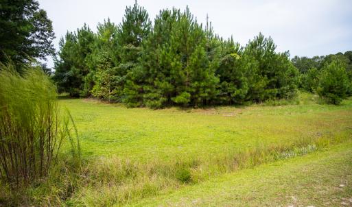 Photo #16 of SOLD property in John Nunnery Rd., Stedman, NC 6.0 acres