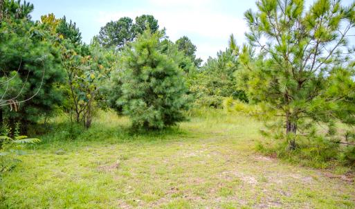 Photo #19 of SOLD property in John Nunnery Rd., Stedman, NC 6.0 acres