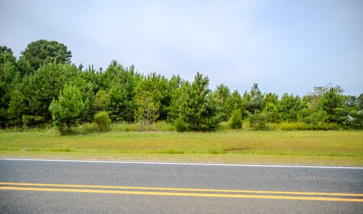 Photo #7 of SOLD property in John Nunnery Rd., Stedman, NC 6.0 acres