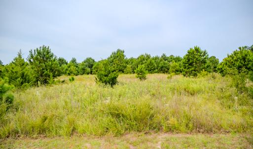 Photo #10 of SOLD property in John Nunnery Rd., Stedman, NC 6.0 acres