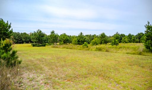 Photo #11 of SOLD property in John Nunnery Rd., Stedman, NC 6.0 acres