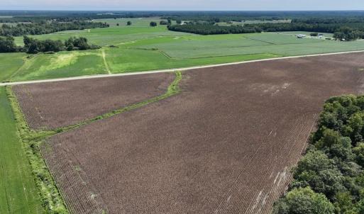 Photo #12 of SOLD property in Off Whaley Road, Kinston, NC 27.4 acres